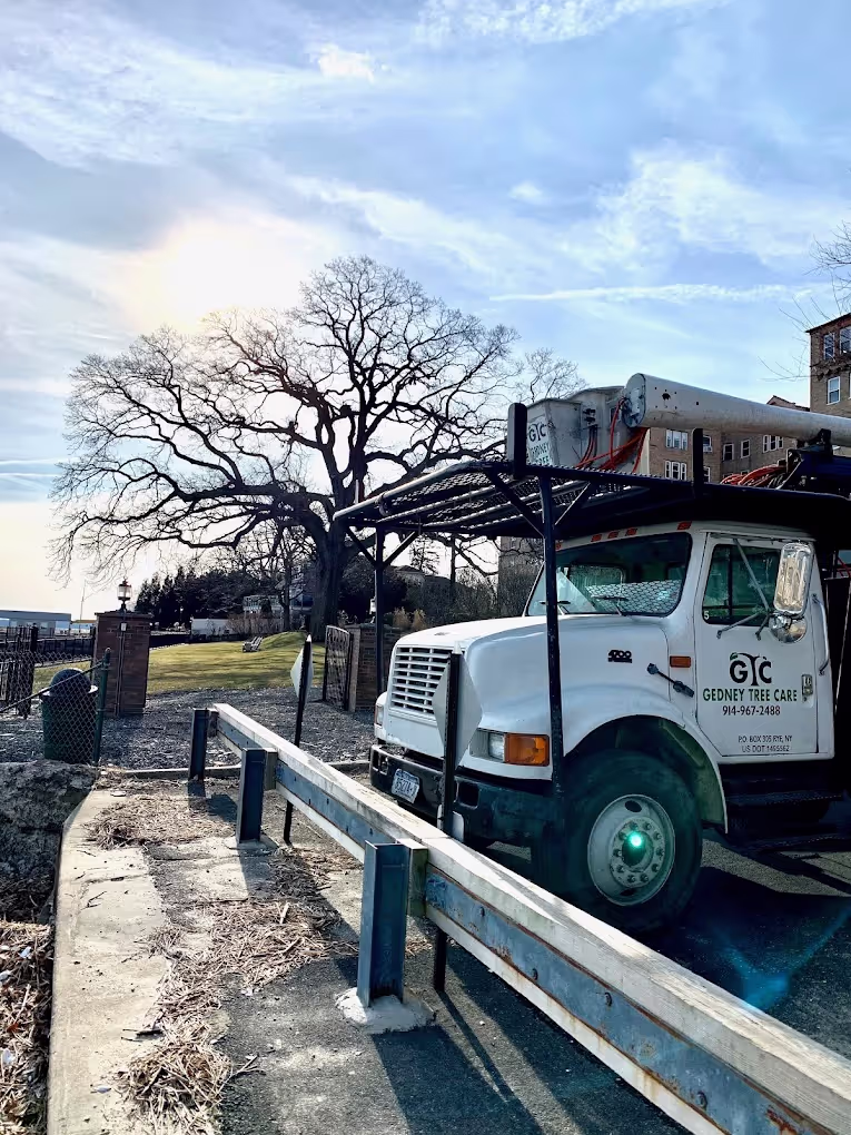 Gedney Tree Care truck serving Westchester NY